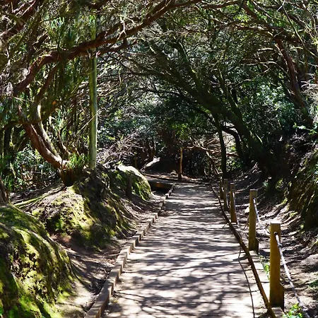 El Olivo House B شقة سان إيسيذرو