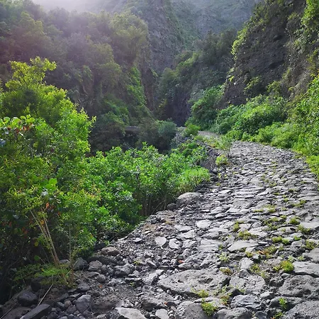 El Olivo House B شقة