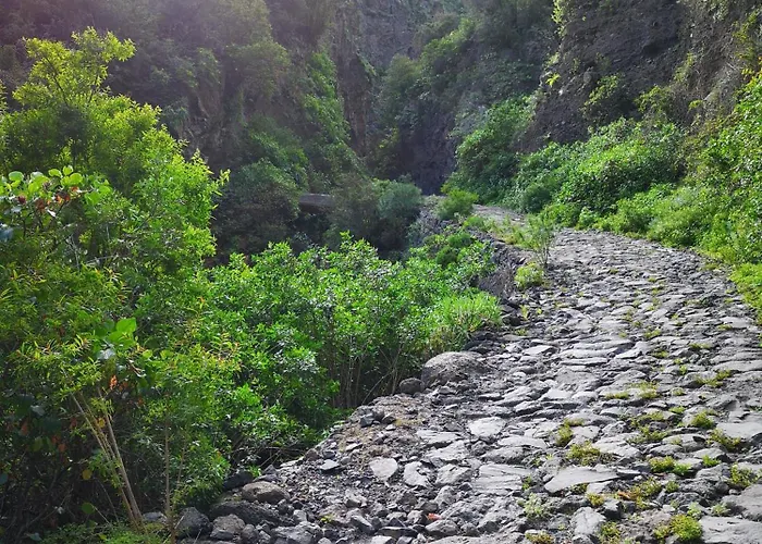 El Olivo House B شقة