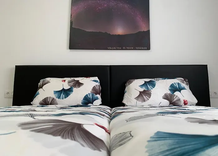 El Olivo House B * San Isidro (Tenerife)