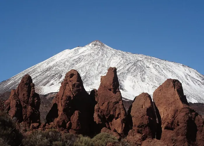 Apartment El Olivo House B