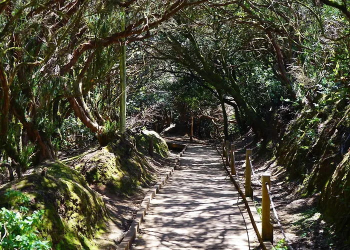 El Olivo House B Apartment San Isidro (Tenerife)