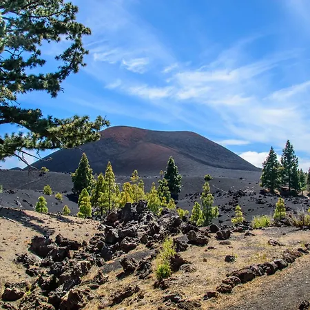 El Olivo House B דירה *